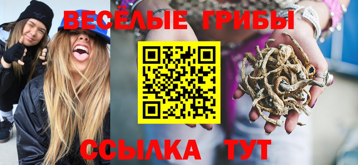 Галлюциногенные грибы Psilocybine cubensis  Галлюциногенные грибы ЛСД  Прохладный  Вход с VPN 