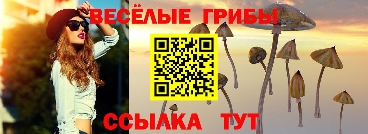 Галлюциногенные грибы Cubensis Прохладный