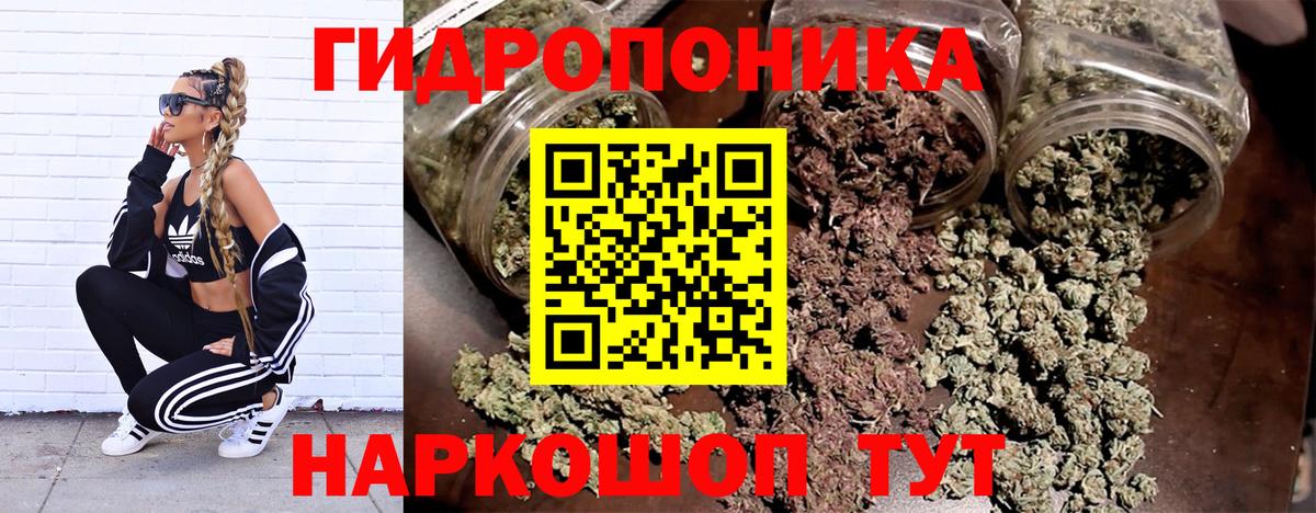 Бошки марихуана THC 21% Прохладный
